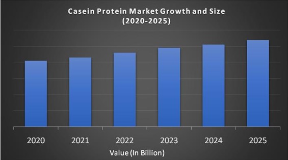 Casein Protein Market